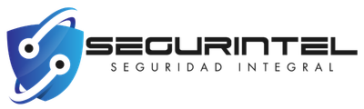 Segurintel